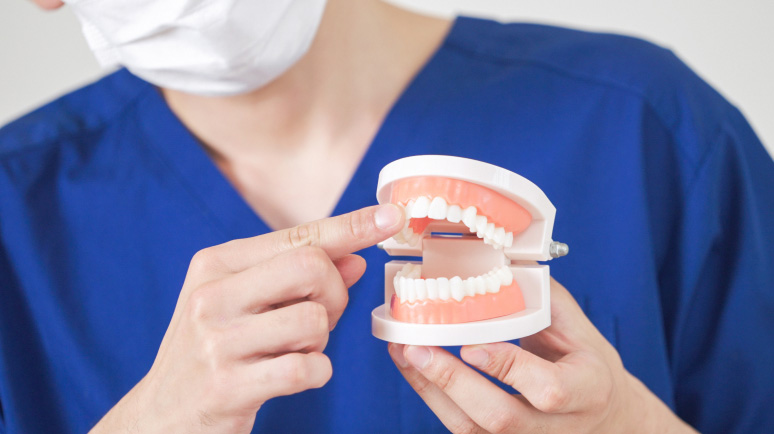 歯科医師が女性患者にカウンセリングしている写真